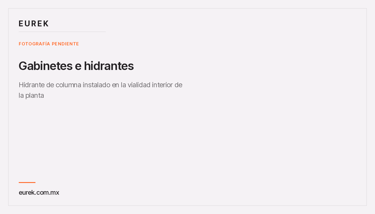 Espacio reservado para la fotografía del hidrante de columna instalado en la vialidad interior de la planta
